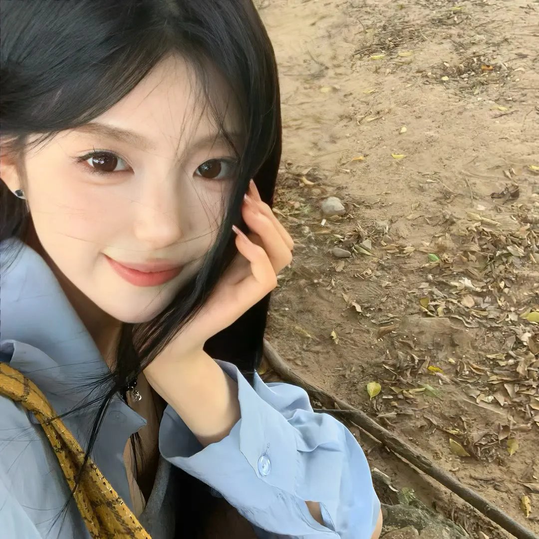 小狗波图