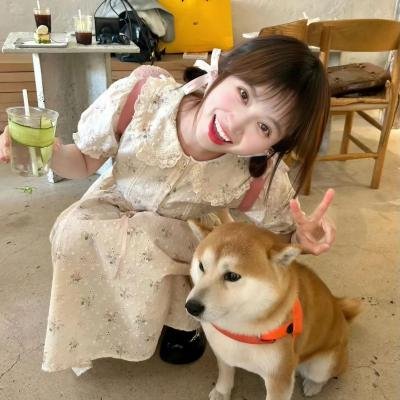 狐狸的夏天2